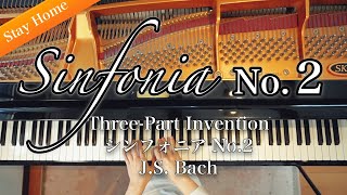 バッハ/シンフォニア No.2 ハ短調 ( J.S.Bach - Sinfonia No.2 in C Minor, BWV 788, from Three-Part Invention )