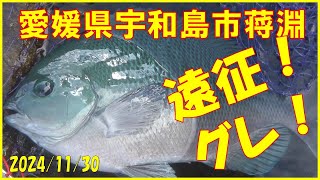 2024/11/30 愛媛県宇和島市蒋淵  (浜崎渡船)【遠征グレ釣り】釣れたらいいね！なんちゃんチャンネル