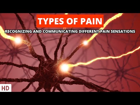 What type of pain is characterized as a dull or aching discomfort that is poorly localized by the patient?