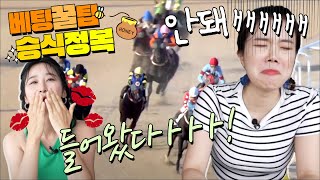 [ENG SUB] 초보가 경마하는 법 (feat. 배당 39만배! 실화? 역대급 베팅 고수 영접)