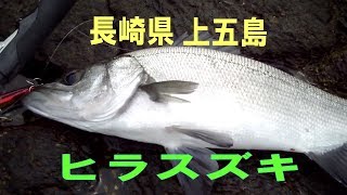 長崎県　五島ヒラスズキ釣行