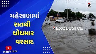 Monsoon in Gujarat | Mehsana માં રાતથી ધોધમાર વરસાદ |  Rain Forecast | Monsoon 2023