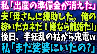 【スカッと】私「出産の準備金が消えた」夫「母さんに援助した。俺の稼いだカネなんだから文句ないだろ！」私は間髪入れずに離婚届を即提出