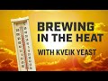 Brewing in the Summer Heat with Kveik Yeast.