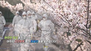 #3 코리아는 코로나를 이길 수 있습니다. (feat. 싱어게인2 17호 가수)[대구가톨릭대병원]