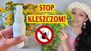 Preparat na kleszcze zupełnie ZA DARMO | Najlepszy jaki znam