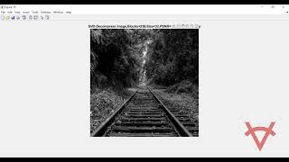 SINGULAR VALUE DECOMPOSITION AND NON NEGATIVE MATRIX FACTORIZATION METHODS FOR IMAGE COMPRESSION