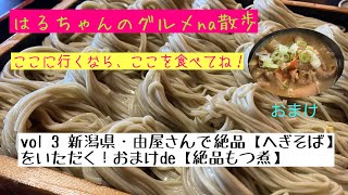 はるちゃんのグルメna散歩 vol3 これぞ絶品！新潟【由屋】さんの【へぎそば】・おまけ【絶品もつ煮】