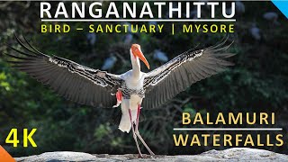 ರಂಗನತಿಟ್ಟು ಪಕ್ಷಿಧಾಮ ಶ್ರೀರಂಗಪಟ್ಟಣ | Ranganathittu bird sanctuary  |  | BALAMURI Waterfalls