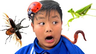 Alex and Wendy Learn about Bugs and Insects | Kids Learning How to Not Be Scared of Bugs