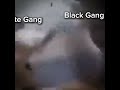 When Wg Discovered New Gang : #roblox #video #edit #war #memes #funny #cat