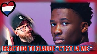 Professional reacts to Claude \