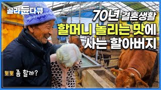 매일 웃으며 살아가는 알콩달콩 백발 노부부의 사랑 이야기 다음 생에도 할머니 만나서 오래오래 행복하게 산다는 사랑꾼 할아버지│한국기행│#골라듄다큐