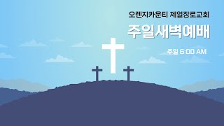 요한복음 6:1-21/ 1월 19일 (주일) 새벽 예배