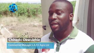 Chinedu Okwulehie, Commercial Manager L.A.T.C Agro Ltd