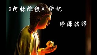 《阿弥陀经》讲记 第一大苦恼：什么是多善根多福德？（十二）净源法师讲解（往生之业，念佛为本+故事：杀牛为业的张善和临终念佛往生）