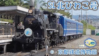 【ブタ電】SL北びわこ号 @ 京都鉄道博物館