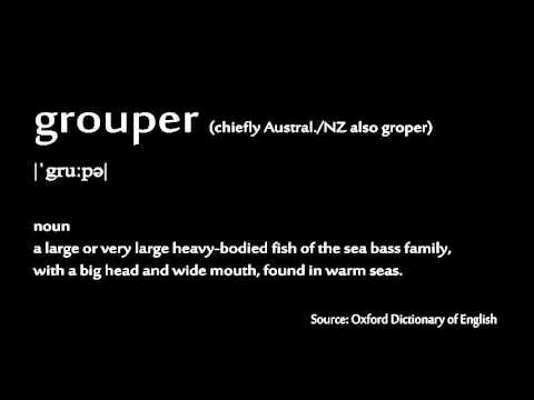 How to pronounce - grouper How to pronounce - grouper