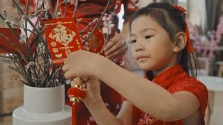 How Do You Celebrate Chinese New Year? | Holiday Traditions