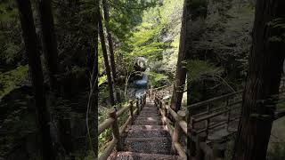 竜神の滝 #shorts  Ryujin Waterfall. 岐阜県中津川市川上　夕森公園