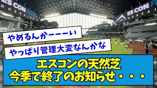 【悲報？】エスコンの天然芝、今季で終了のお知らせ・・・【なんJ反応】