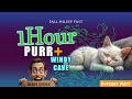 Black Screen Sleep Sounds 🌿 | 1 Hour Cat Purring + Relax in a Cave ASMR