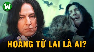 Severus Snape | Cuộc Đời & Sự Nghiệp  Nhân Vật Gây Tranh Cãi Nhất Harry Potter