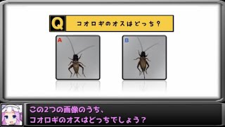 東京大学　柏一般公開　研究室紹介　【分子認識化学分野/片岡宏誌 教授・永田晋治 教授】