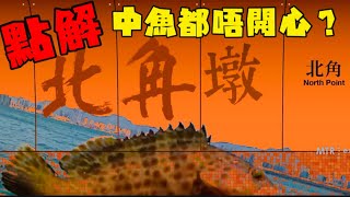 北角橋墩釣魚 黑吉 ヘチ 睇人中大黑沙鱲魚｜香港釣魚｜fishing ｜釣點介紹2022｜前打｜投釣｜钓鱼 ｜手絲釣魚@TamjFishing