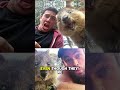 the world’s happiest animal... the quokka australia cuteanimals happiestanimal quokka