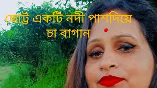 খুব সুন্দর একটি গ্রামের প্রাকৃতিক পরিবেশ ছোট্ট নদী পাশদিয়ে চা বাগান #nature