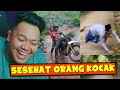 MEME  EPS 203 || GA SENGAJA OPNE BO