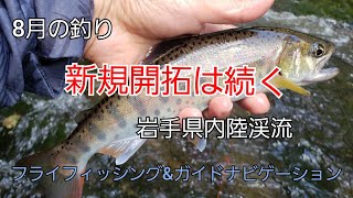 新規開拓は続く  実釣編　岩手県内陸渓流　水系　ガイド　ガイドポイント　8月の釣り　フライフィッシング  ヤマメ　イワナ　岩手の釣り　渓流釣り　渓流ルアー　