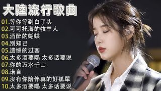 2024流行歌曲【無廣告】🎶2024中国大陸流行歌曲❤️Top Chinese Songs 2024🔥 等你等到白了头 / 可可托海的牧羊人 / 酒醉的蝴蝶 / 別知己 🎼 Pinyin Lyrics