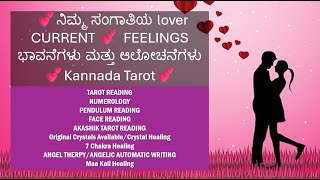 💕ನಿಮ್ಮ ಸಂಗಾತಿಯ lover CURRENT 💕 FEELINGS ಭಾವನೆಗಳು ಮತ್ತು ಆಲೋಚನೆಗಳು💕Kannada Tarot💕