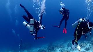 2018년 필리핀 세부 스쿠버다이빙 (CEBU DIVING)