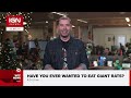 rat burgers gaining popularity in russia ign news