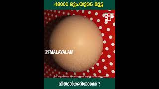 costly Egg Sell Over Rs 48,000  | 48000 രൂപയുടെ മുട്ട | #epicfactsmalayalam |social media viral