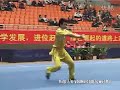 2010年全国武术套路锦标赛（传统）m07 001 男子查拳 樊腾飞