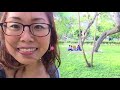 a walk in lima リマの公園で散歩！japotina 016