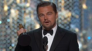 Leonardo DiCaprio's Oscars Journey
