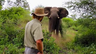 Man Stops Charging Elephant