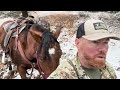 ultimate wyoming elk horseback hunting adventure