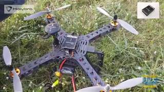 翔大模型_Holybro Mini Pixhawk4 首航_ESC set to DSHOT