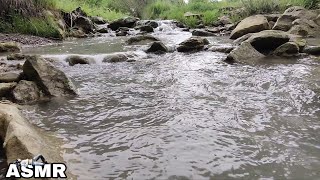 SONIDO CAUTIVADOR Y ENVOLVENTE DE ARROYO/CAPTIVATING AND SURROUNDING SOUND OF THE STREAM TO REST