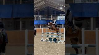 From today’s jumping lesson 🥹🥰 #horse #horses #equestrian #showjumping