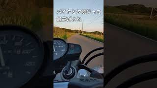 最高すぎ...?  #Shorts  FTR223 | MotoVlog