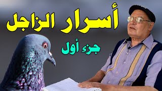 البطل العالمى عاطف جعفر ومحطة أسوان اصعب محطة للحمام الزاجل واسرار لغواة  الحمام الزاجل 🕊️🕊️