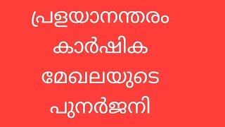 പ്രളയാന്തരം ഇടുക്കിയിലെ കാര്‍ഷിക മേഖലയുടെ പുനര്‍ജനി