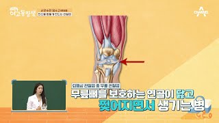 [교양] 산전수전 여고동창생 40회_210822_만성질환 1위! 퇴행성 관절염 방치했다가 큰 병 걸린다!